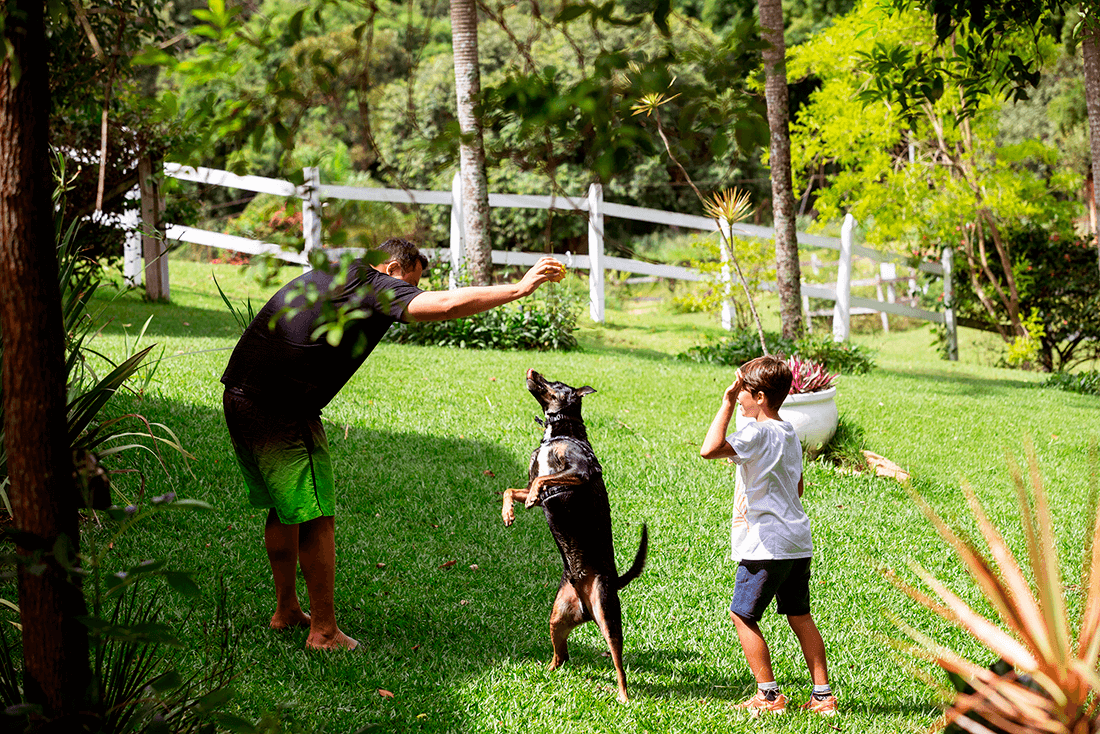 Curta o Dia dos Pais 2022 em Monte Alegre do Sul SP