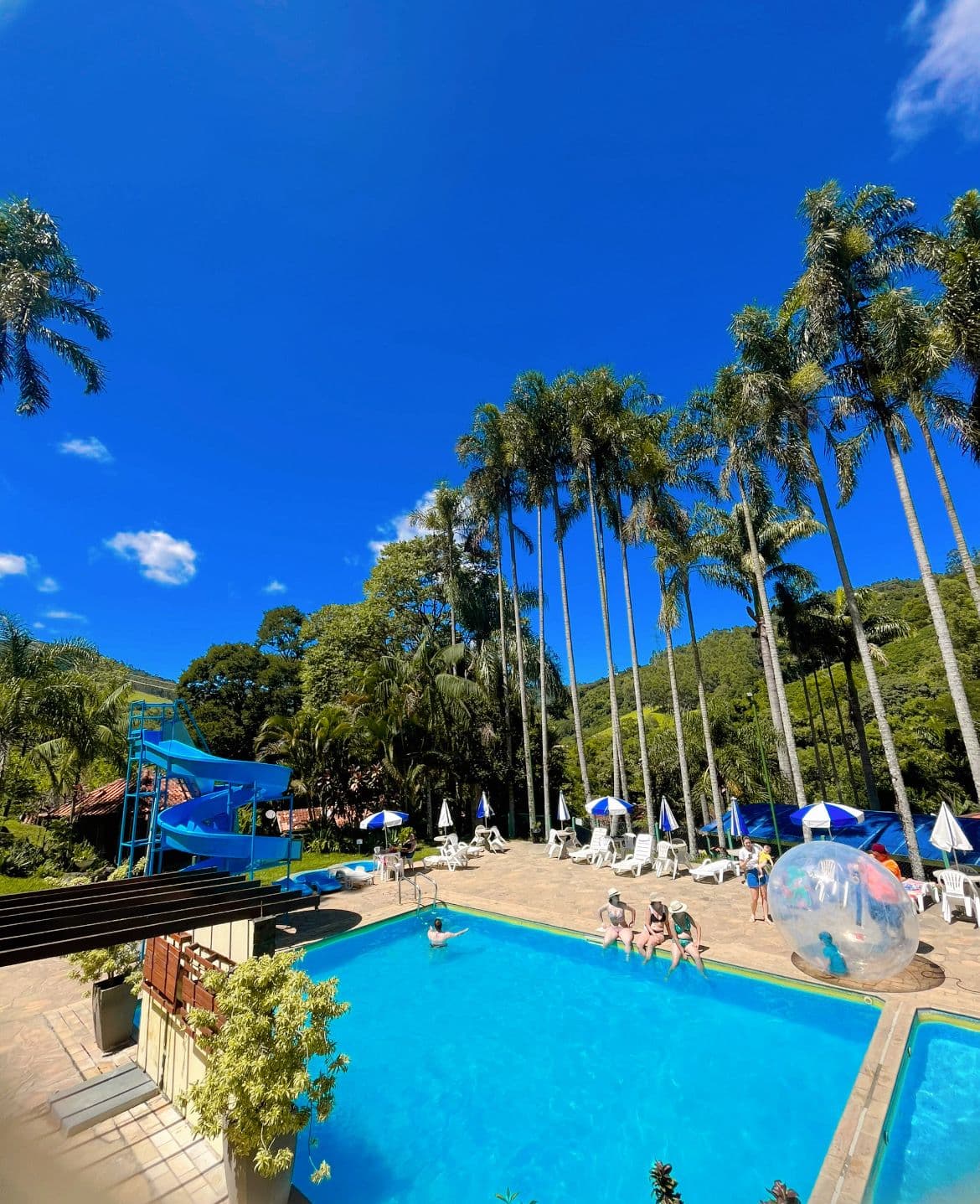 Curta o Carnaval 2024 no Interior de SP