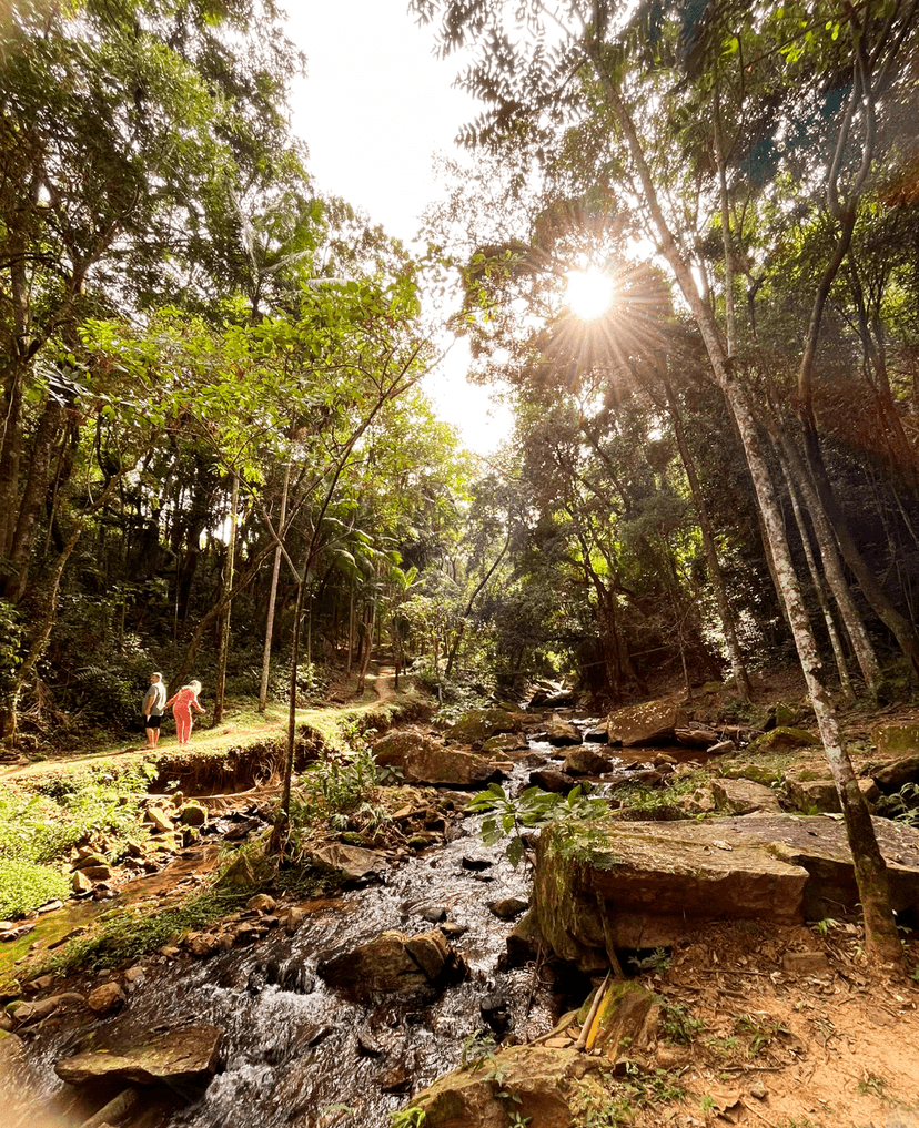 Viaje em Outubro e Novembro 2025 pro Interior de SP na Pousada da Cachoeira no Interior de SP Viaje em Outubro e Novembro 2025 pro Interior de SP