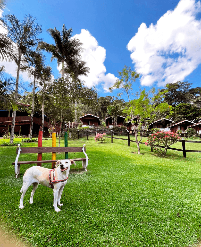 Janeiro 2026: Viaje para Monte Alegre do Sul – SP na Pousada da Cachoeira no Interior de SP Janeiro 2026: Viaje para Monte Alegre do Sul – SP