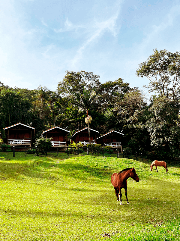 Feriado Dia do Trabalho 2026 no Interior de SP na Pousada da Cachoeira no Interior de SP Feriado Dia do Trabalho 2026 no Interior de SP